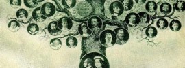 arvore-genealogica